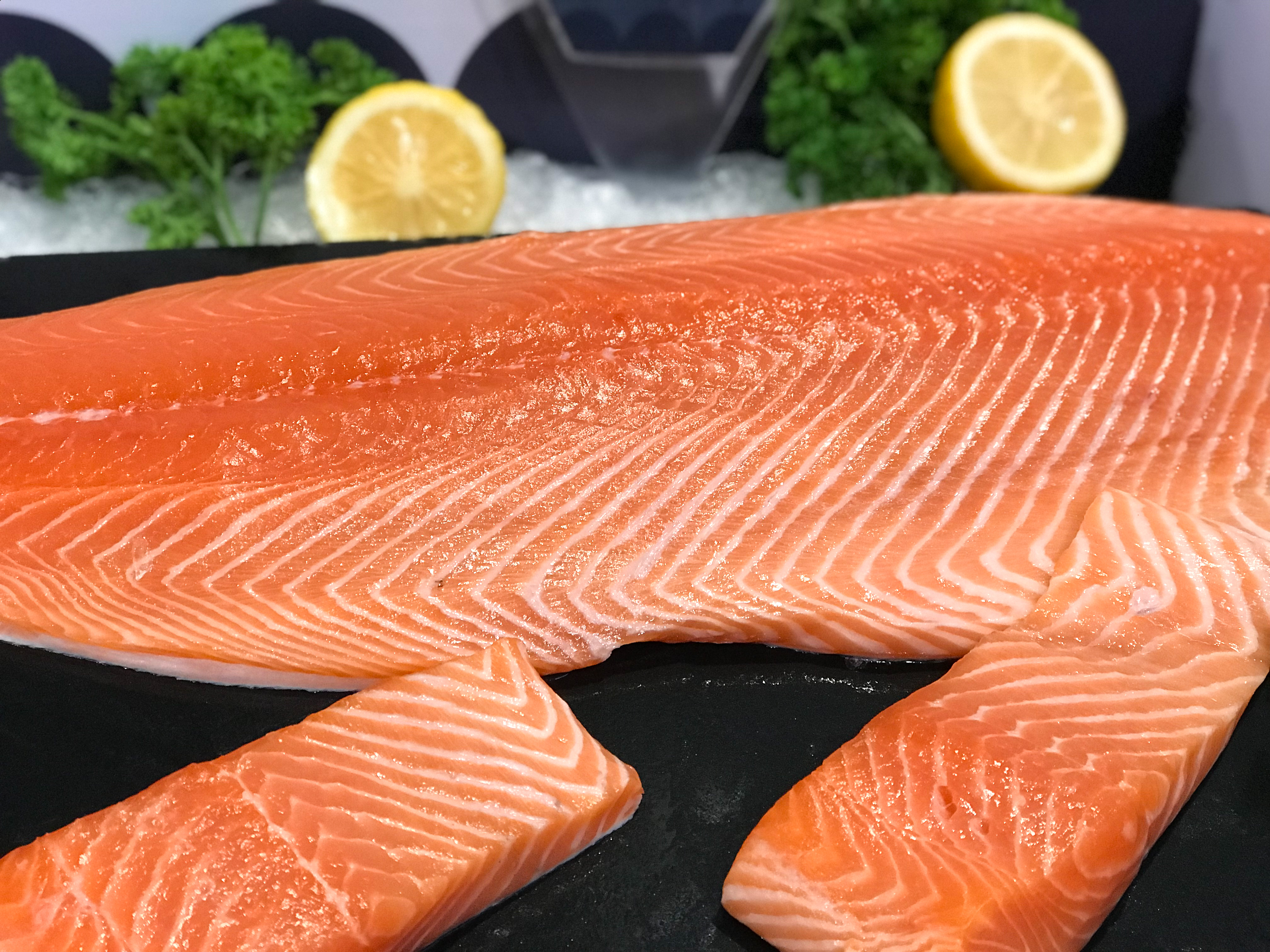 Farmed Atlantic Salmon